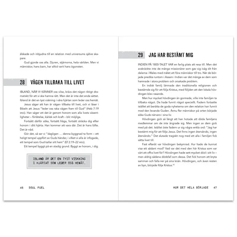 Soul Fuel – Dagliga andakter som laddar själen2.webp