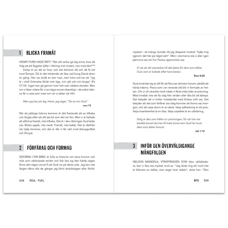 Soul Fuel – Dagliga andakter som laddar själen5.webp