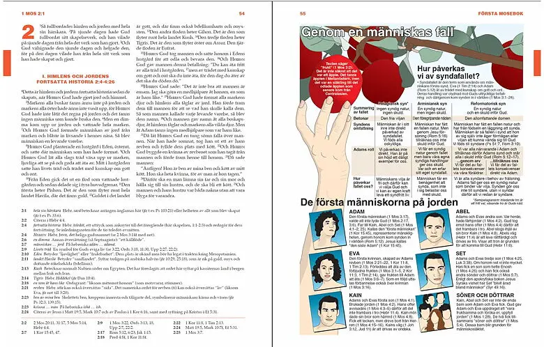 Steg för steg Studiebibel4.webp