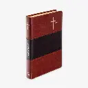 Bibel Luther 2.webp
