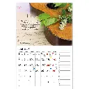 Blott en dag 2026 – Lina Sandell3.webp