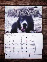 Bibelkalender 20274.webp