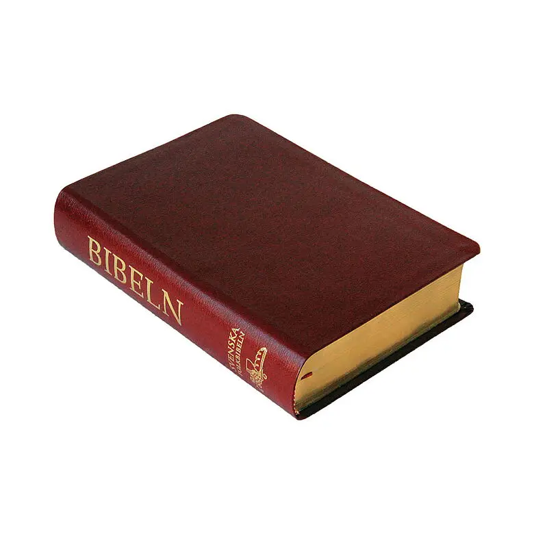 [116.004] Svenska Folkbibeln 2015 – mellanformat cabraskinn röd