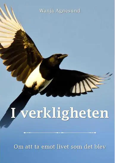 I verkligheten – Om att ta emot livet som det blev