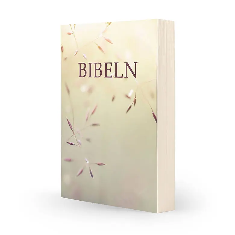 Svenska Folkbibeln 2015 – paperback