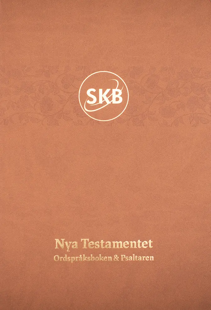 Svenska Kärnbibeln NT+ – sand