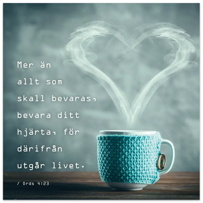 Vykort – Mer än allt som skall bevaras ...