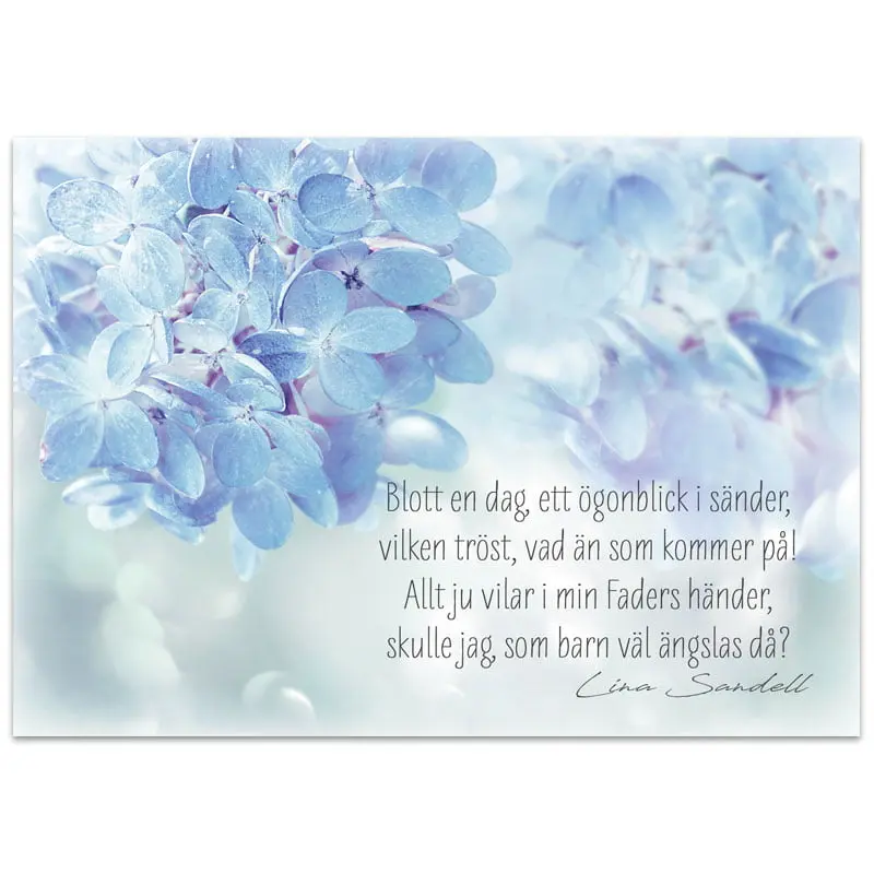 Vykort – Blott en dag