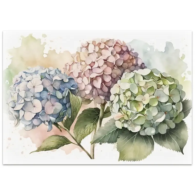 [712.016] Vykort – Blommor