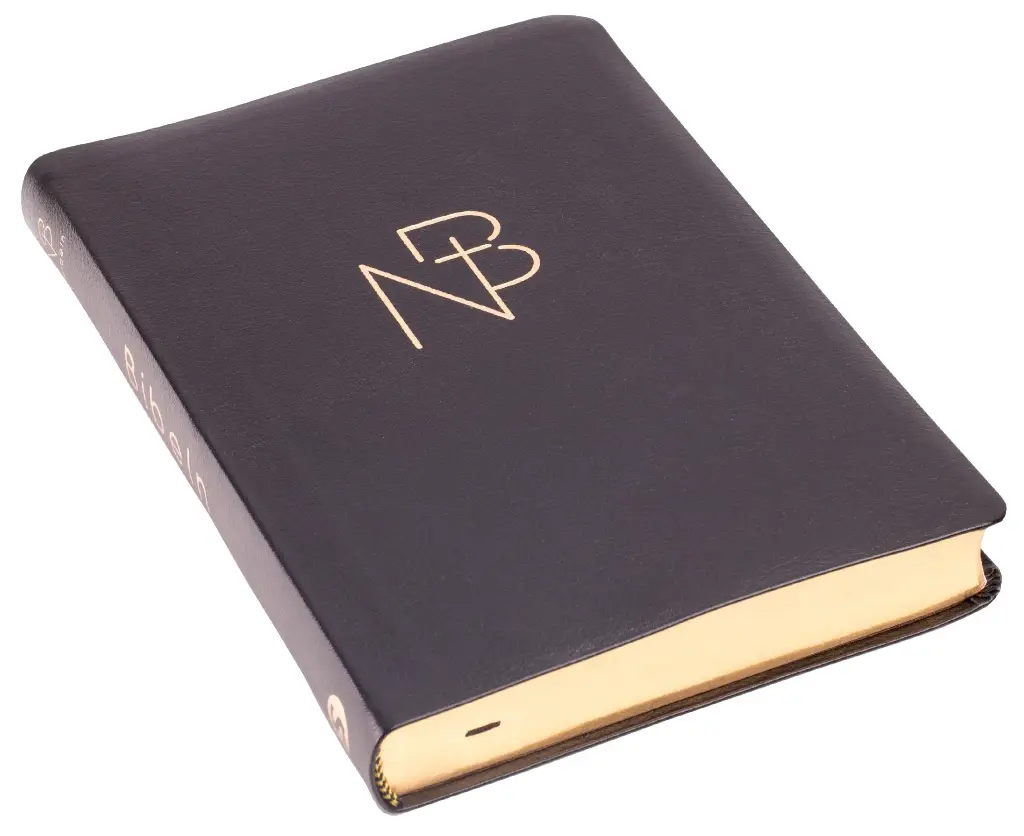 [111.007] nuBibeln slimline – svart cabra