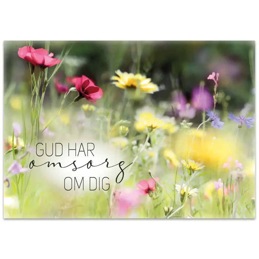 Vykort – Gud har omsorg om dig