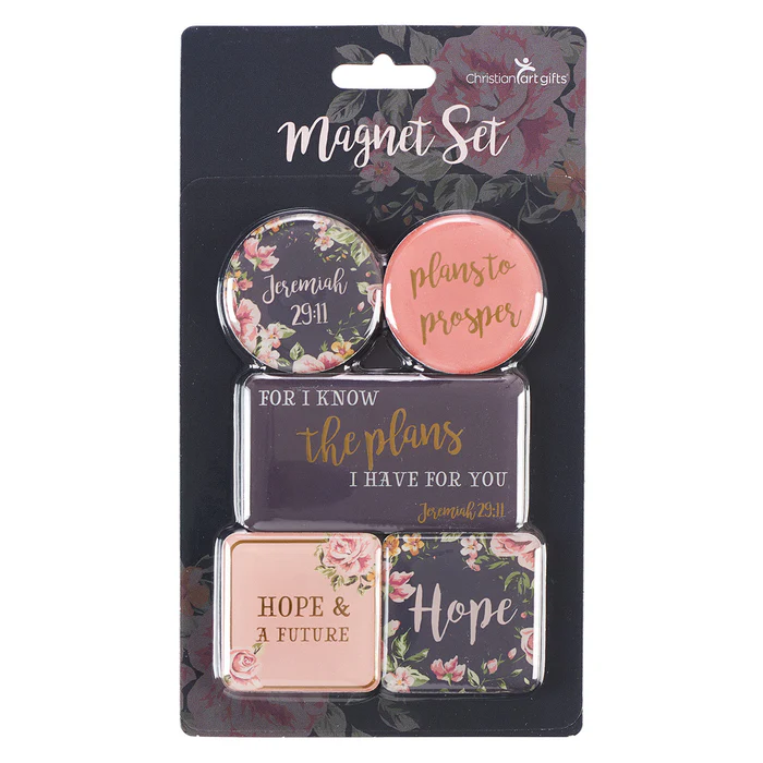 Magnetset – For I know the plans, set om 5 stycken
