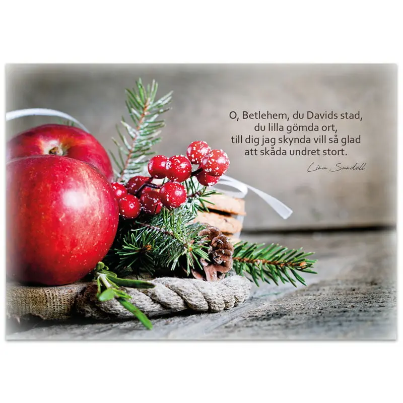 [712.041] Julkort – O, Betlehem, du Davids stad