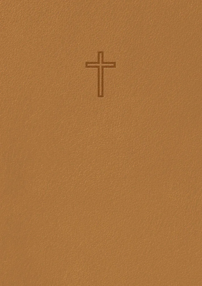 [123.005] Svenska Folkbibeln 2015 – slimline bärnsten