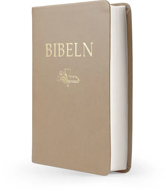 [116.023] Svenska Folkbibeln 2015 – Kompaktbibel skinnimitation brun