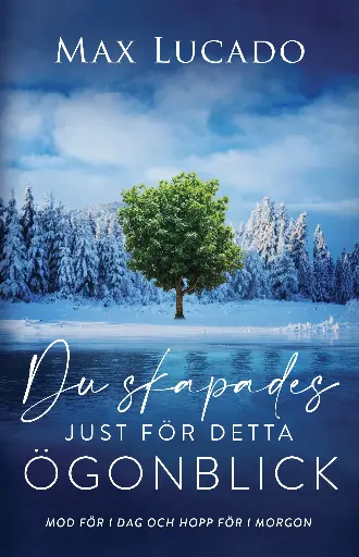 [211.006] Du skapades just för detta ögonblick