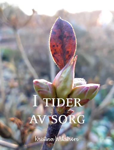[227.003] I tider av sorg