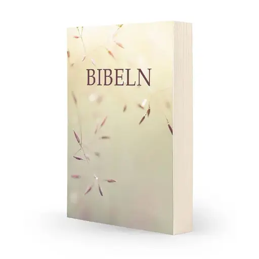 [116.008] Svenska Folkbibeln 2015 – paperback