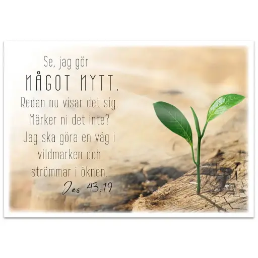 [712.012] Vykort – Se, jag gör något nytt