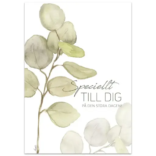 [712.013] Vykort – Speciellt till dig på den stora dagen