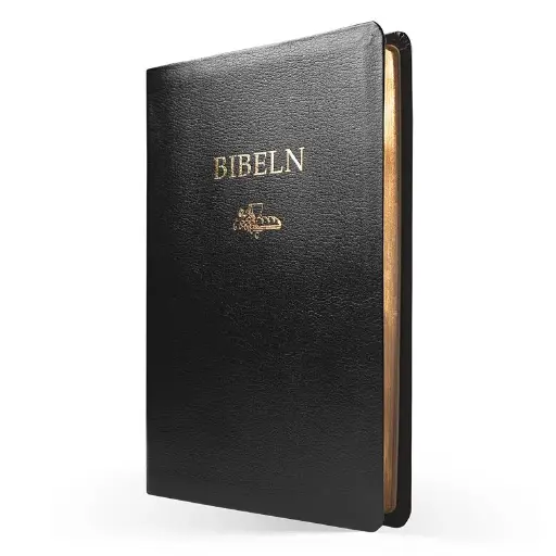 [116.018] Svenska Folkbibeln 2015 – slimline cabraskinn svart